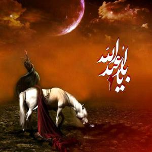 داستان فداکاری اسب سیدالشهدا(ع)